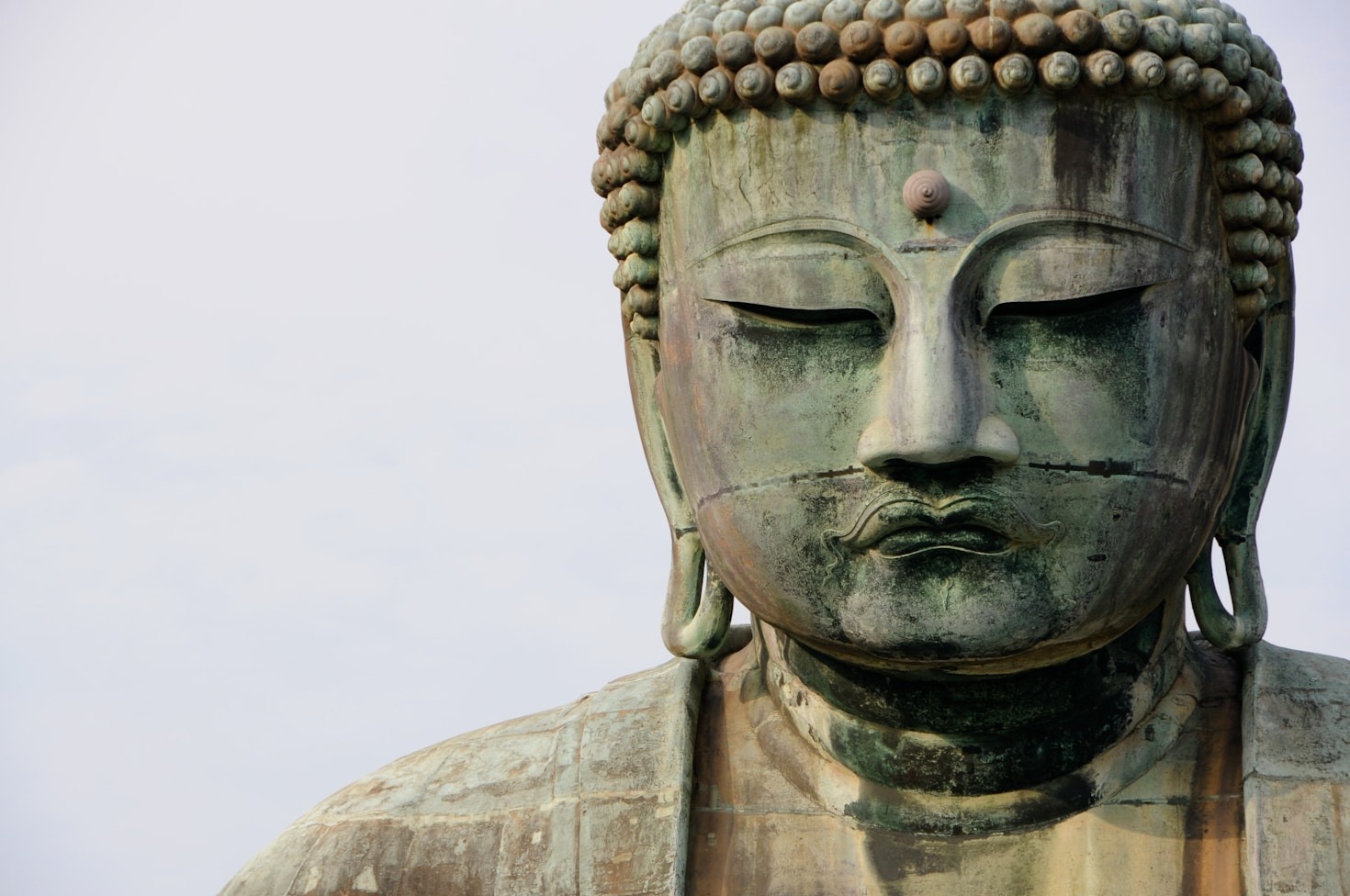 How Polish Sanghas Are Cultivating Mindfulness Together